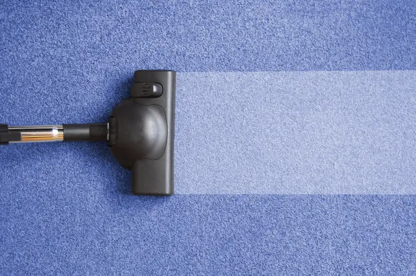 Premium Carpet Cleaning in Chelsea, MA